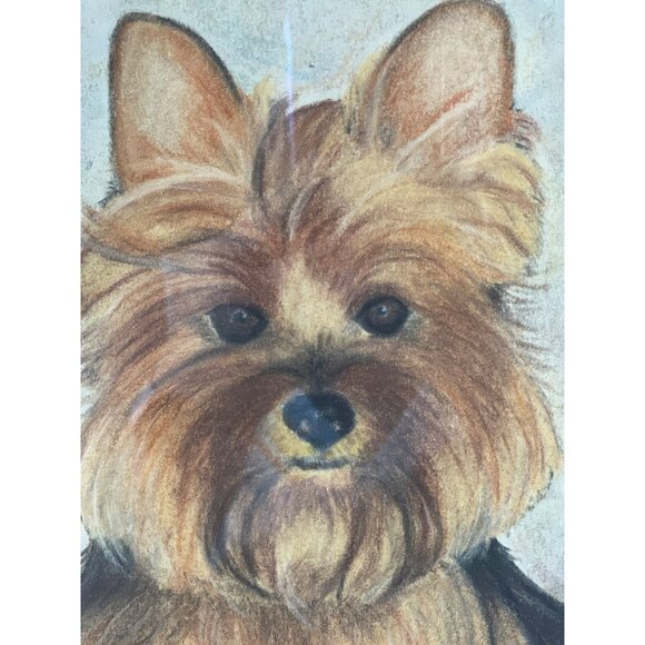 Original Chalk Yorkshire Terrier Yorkie 2011 Framed Matted Signed by Artist - Picture 3 of 5